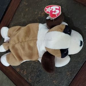 Beanie Baby Bernie